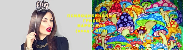 кокаин колумбия Бородино