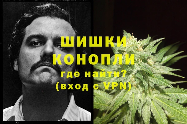 гашик Богородск
