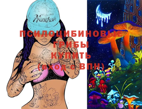 PSILOCYBIN Горно-Алтайск