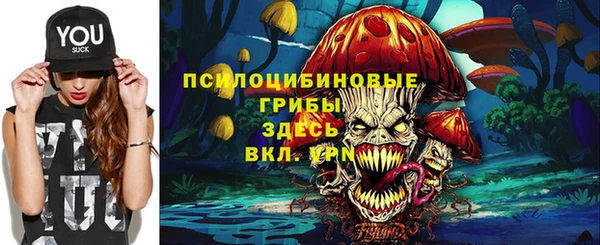 мдма Богданович