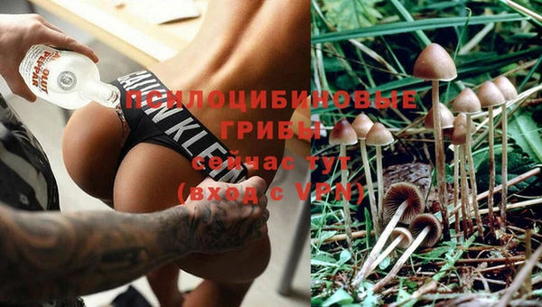 гашик Богородск